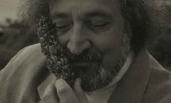 Jack Herer