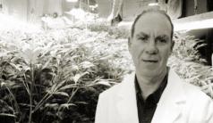 Ed Rosenthal